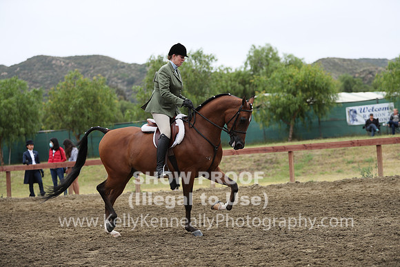 R2CH_Sat_4655
