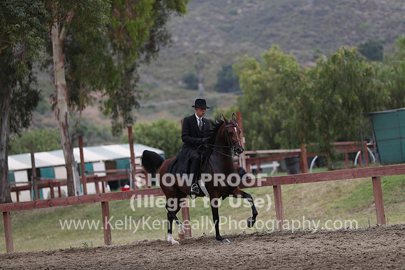 R2CH_Sat_4935