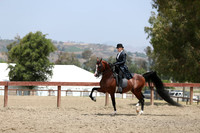 R2CH_Sat_5397