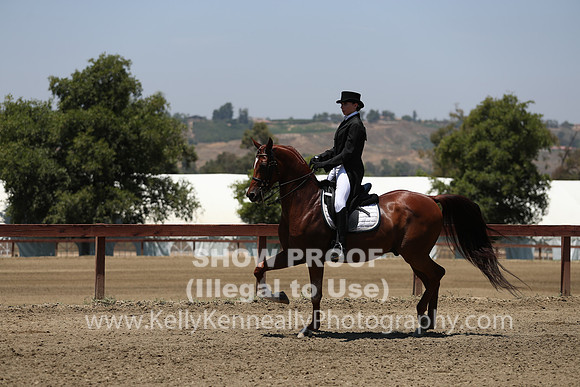 R2CH_Sat_5658