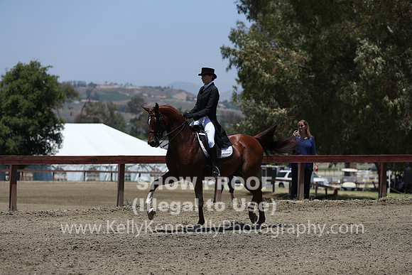 R2CH_Sat_5679