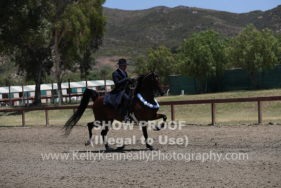 R2CH_Sat_5819