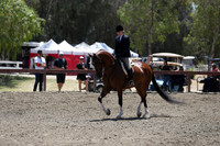R2CH_Sat_5888