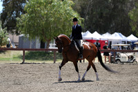 R2CH_Sat_5889