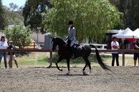R2CH_Sat_5896