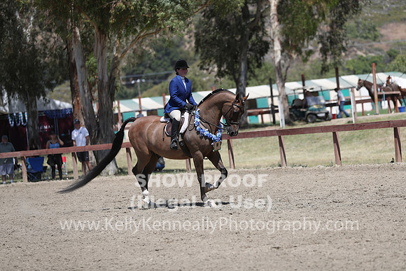 R2CH_Sat_6331