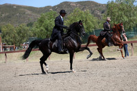 Class 302 Reg 2 HA/AA Country English Pleasure Championship