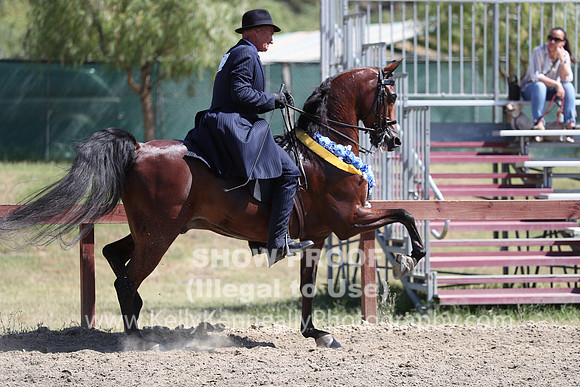 R2CH_Sat_6521
