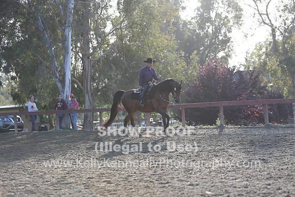 R2CH_Sat_7909