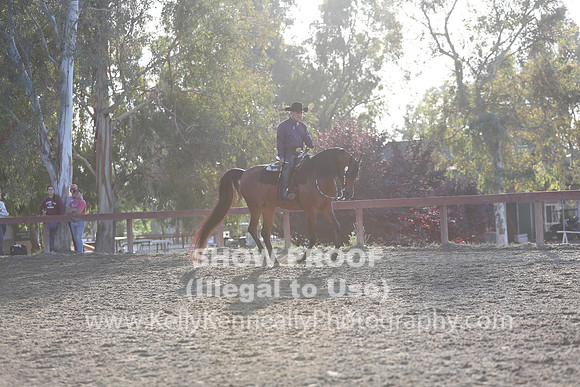R2CH_Sat_7910