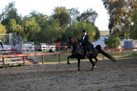 Class 315 Reg 2 Arabian Park Horse Championship ATR