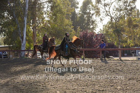 R2CH_Sat_7597