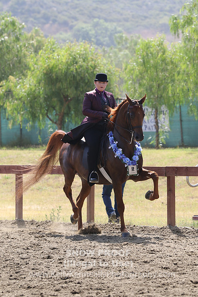 R2CHB_Sun_1165