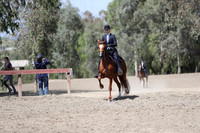 Class 325 Reg 2 Arabian Country English Pleasure Championship JTR Select
