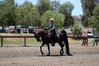 Class 328 Reg 2 Arabian Western Pleasure Championship Junior Horse 5yrs/under