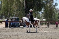 Class 334 Reg 2 HA/AA Western Pleasure Championship AATR Select