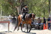 Class 337 Reg 2 Arabian Western Pleasure Championship AAOTR 19-54 Yrs