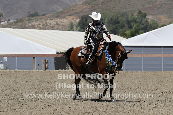 R2CHB_Sun_1646