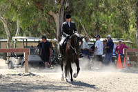 R2CHB_Sun_1660