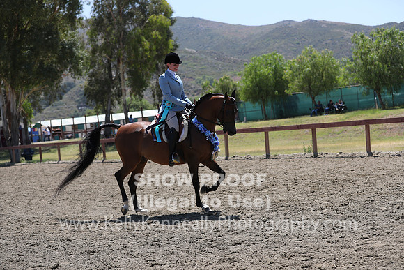 R2CH_Fri_Class225_0055