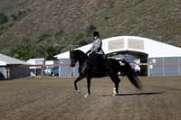 Class 126 Arabian Ladies Side Saddle ATR