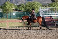 Class 133 Arabian Western Pleasure AATR Choice/Elite