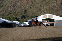 Class 134 Arabian Country English Pleasure Limit Horse