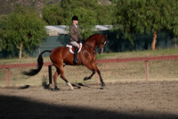 Class 135 HA/AA Hunter Pleasure AATR Choice/Elite