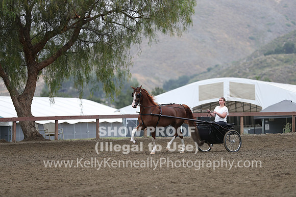 R2PS_Thurs_6545