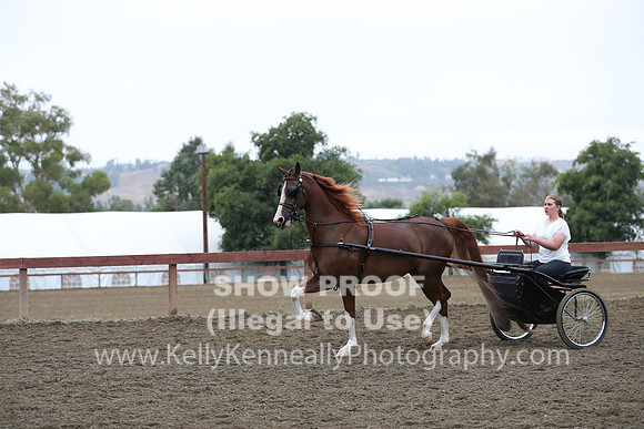 R2PS_Thurs_6557