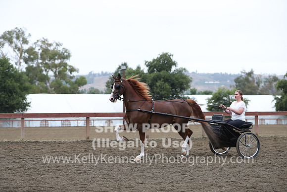 R2PS_Thurs_6564