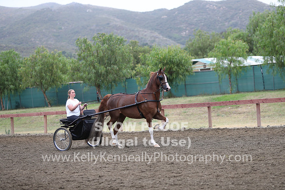 R2PS_Thurs_6567