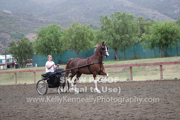 R2PS_Thurs_6566