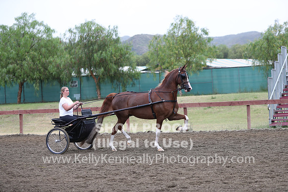 R2PS_Thurs_6568