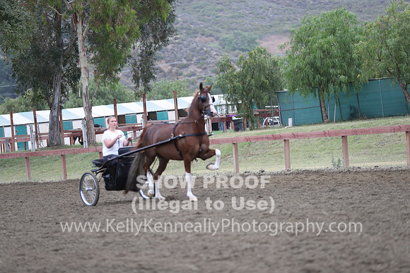 R2PS_Thurs_6569