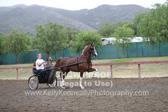 R2PS_Thurs_6571