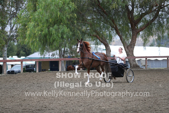 R2PS_Thurs_6576
