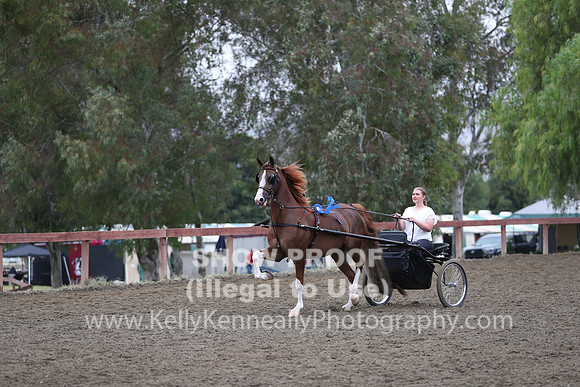 R2PS_Thurs_6578