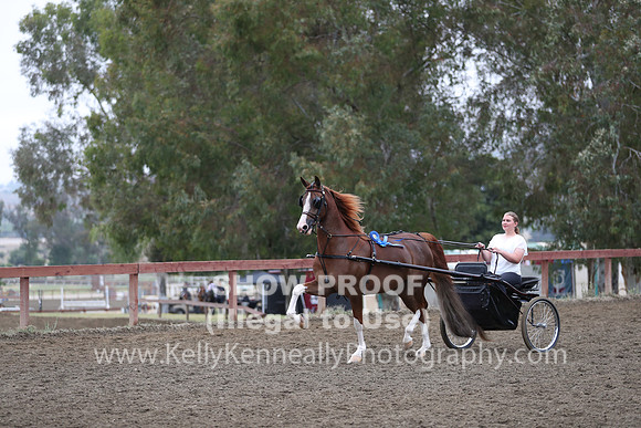 R2PS_Thurs_6579