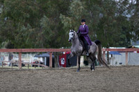 Class 143 Arabian Country English Pleasure JOTR 18 Yrs/Under