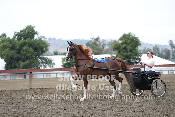 R2PS_Thurs_6580