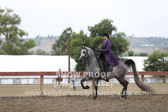 R2PS_Thurs_6944
