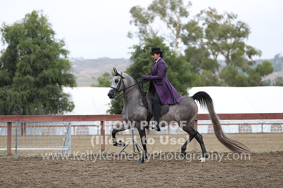 R2PS_Thurs_6947
