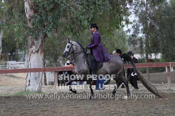 R2PS_Thurs_6951