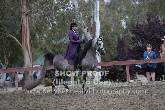 R2PS_Thurs_6963