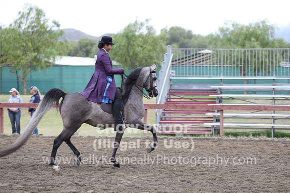 R2PS_Thurs_6991
