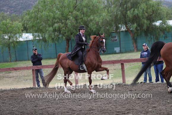 R2PS_Thurs_6880