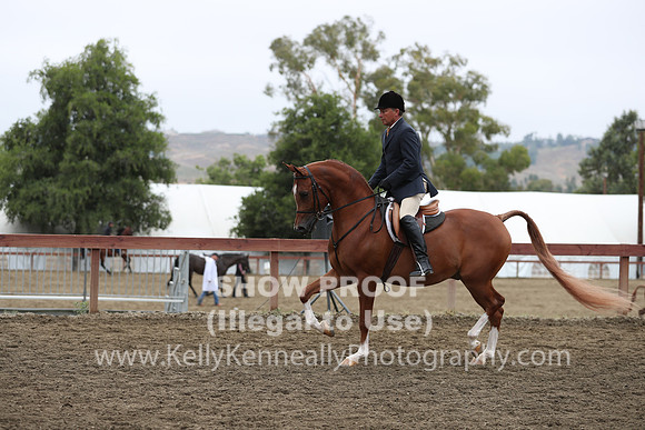 R2PS_Thurs_7097