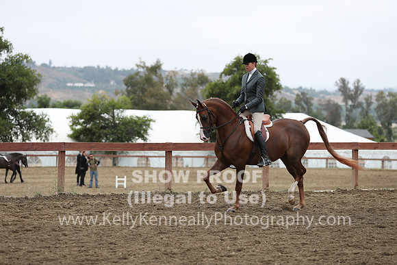 R2PS_Thurs_7099