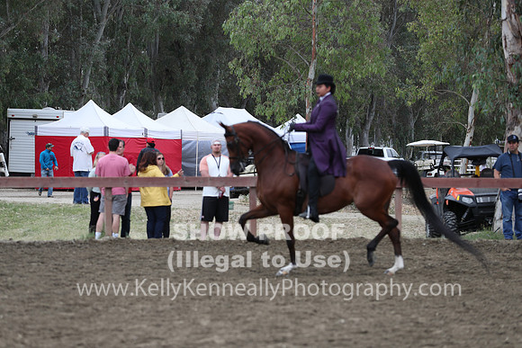 R2PS_Thurs_7193